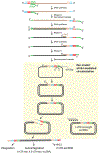 Extended Data Fig. 10 |