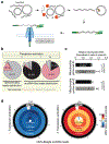 Extended Data Fig. 3 |