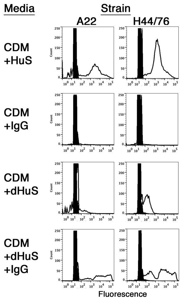 FIGURE 1