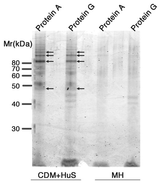 FIGURE 3