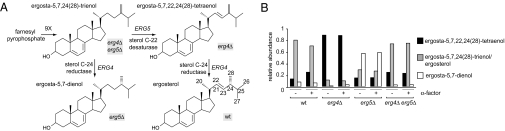 Fig. 4.