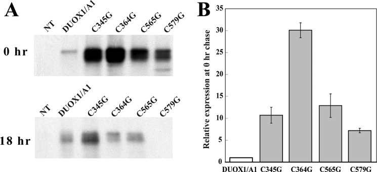 FIGURE 6.