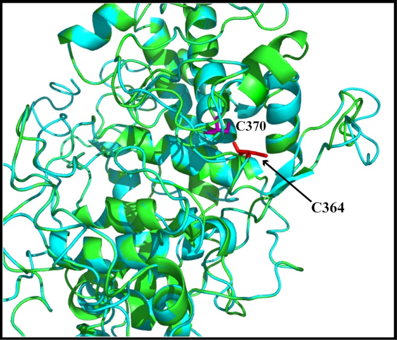 FIGURE 5.