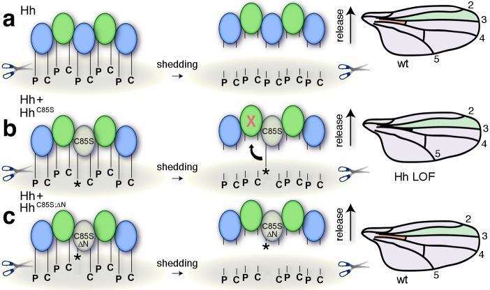 Figure 5.