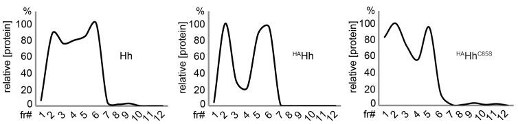 Figure 6—figure supplement 1.