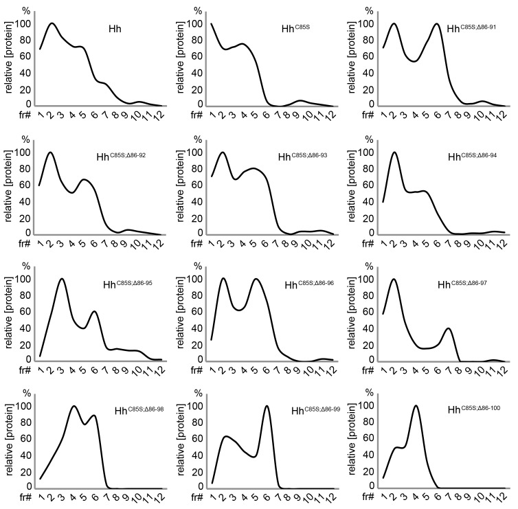 Figure 4—figure supplement 2.