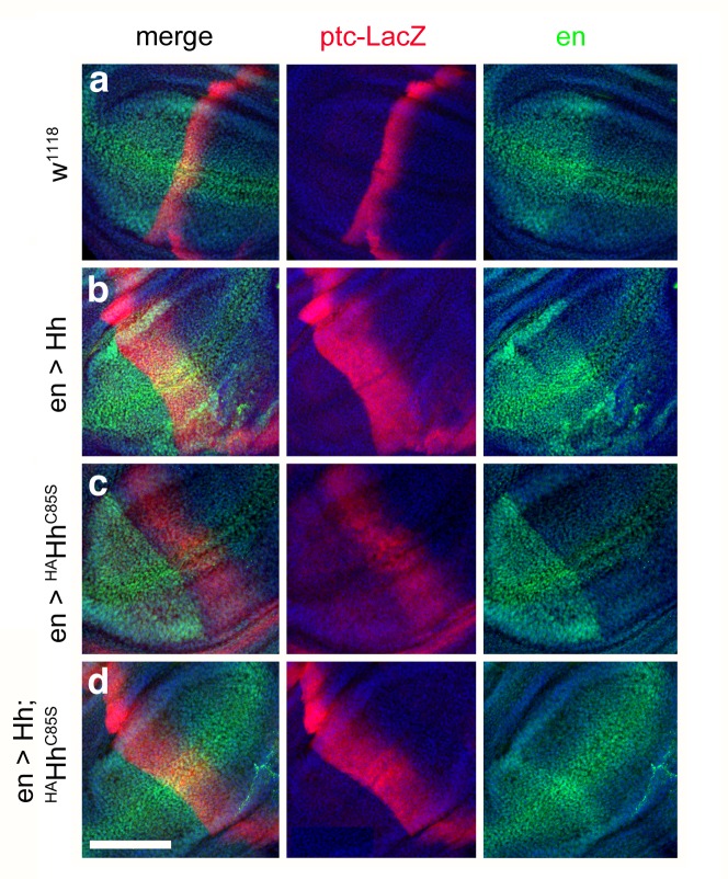 Figure 10.