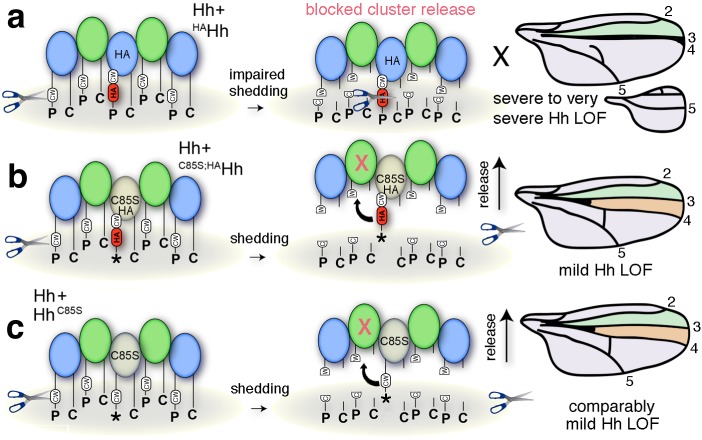 Figure 11.