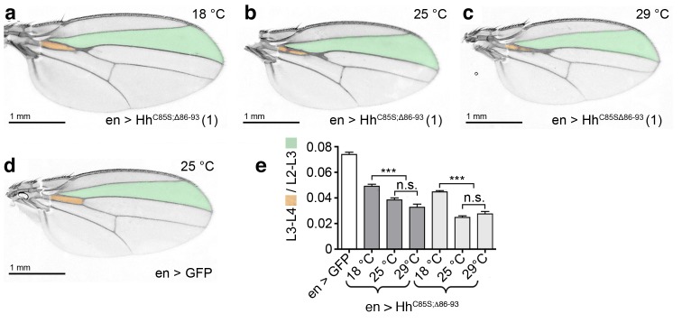 Figure 4—figure supplement 6.