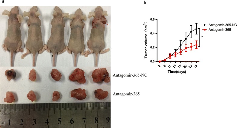 Fig. 6