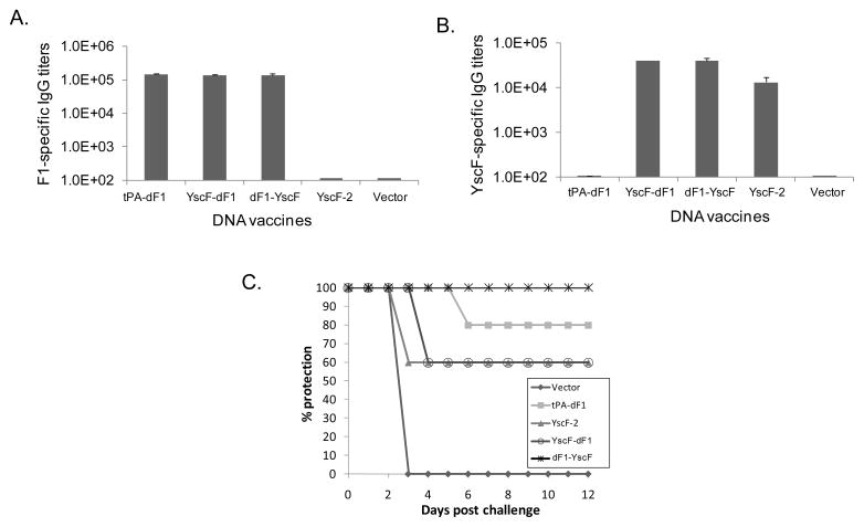 Fig 7