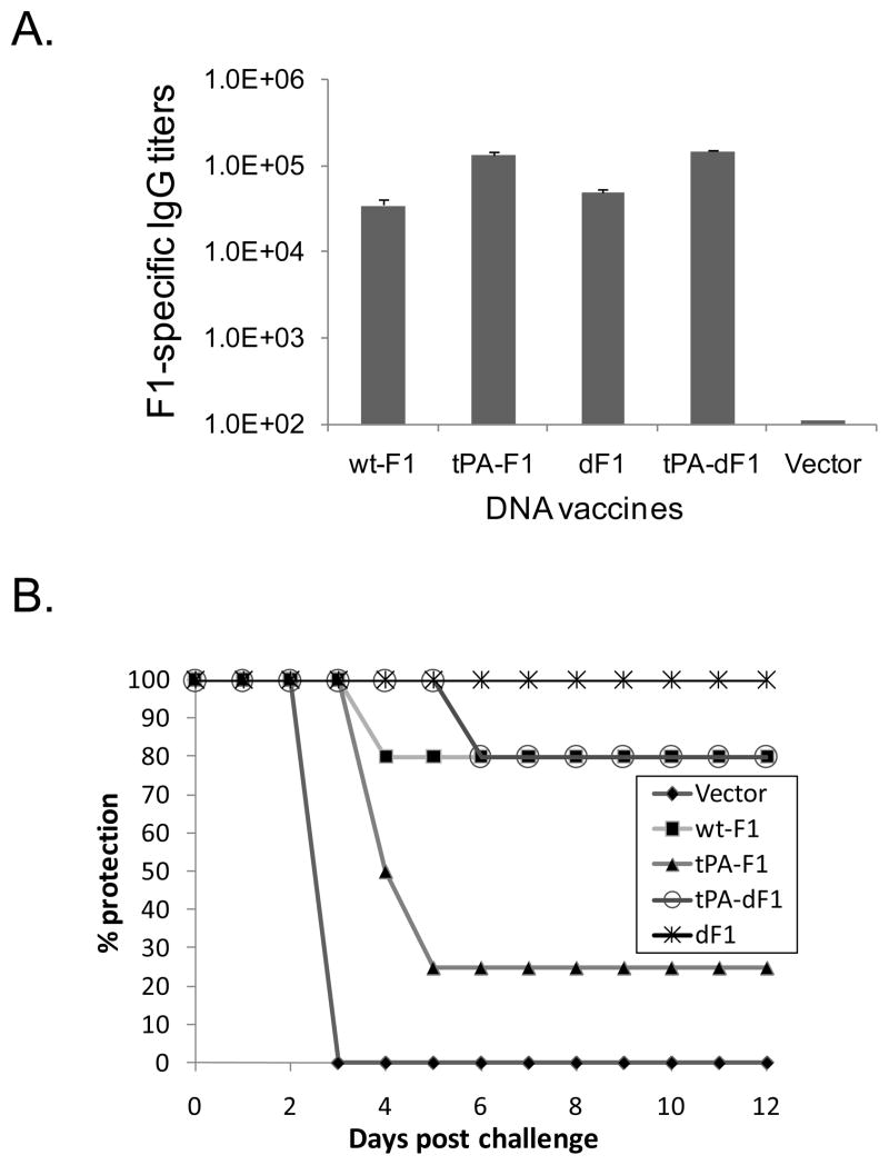 Fig 5