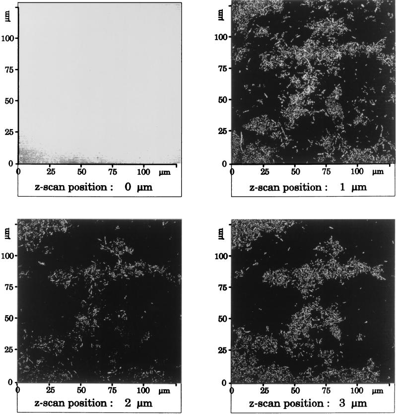 FIG. 6