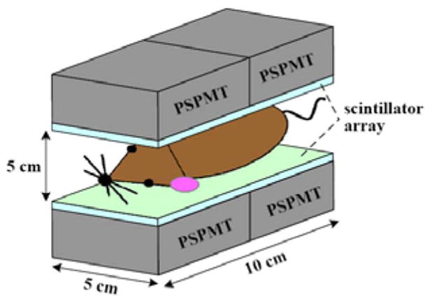 Fig. 1