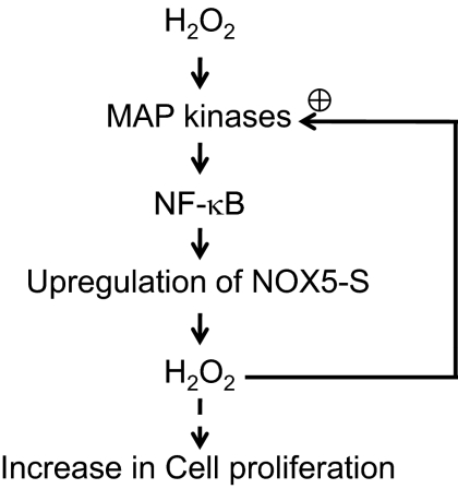 Fig. 8.