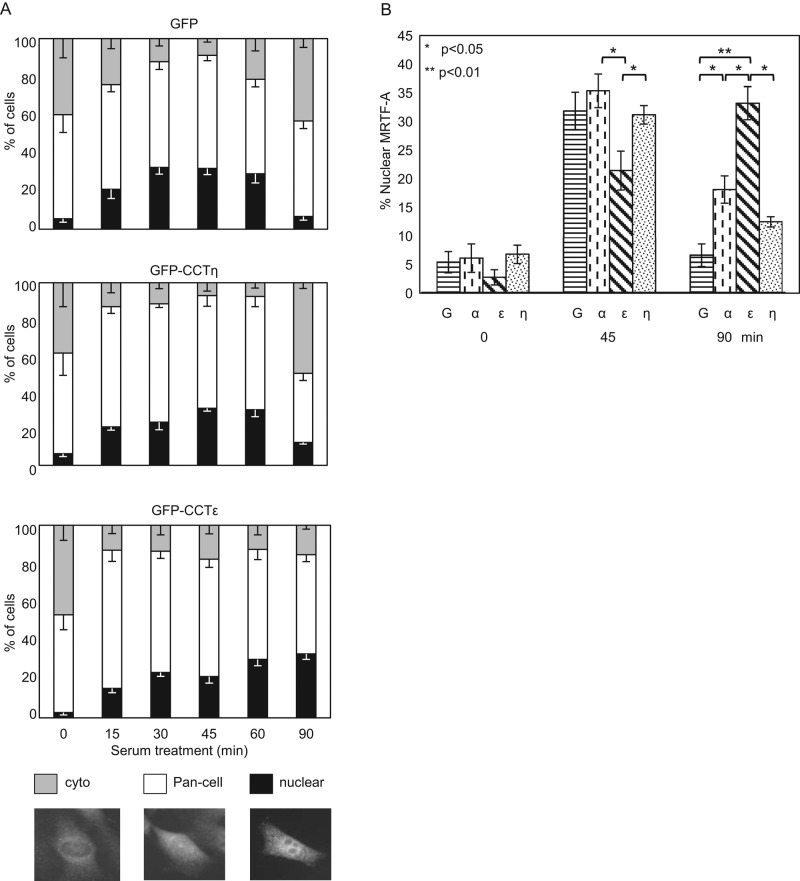 FIGURE 5: