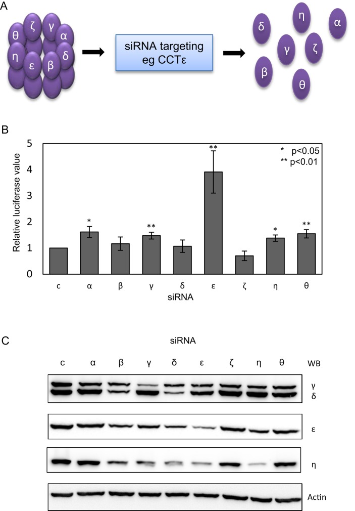 FIGURE 1: