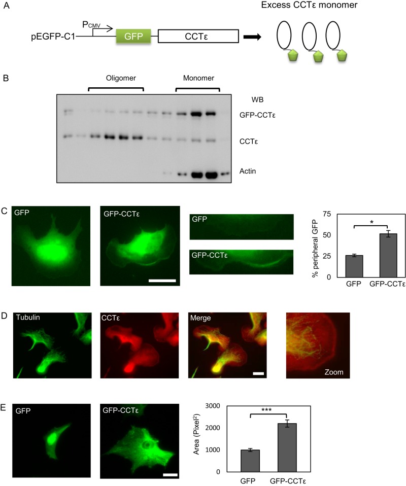 FIGURE 3: