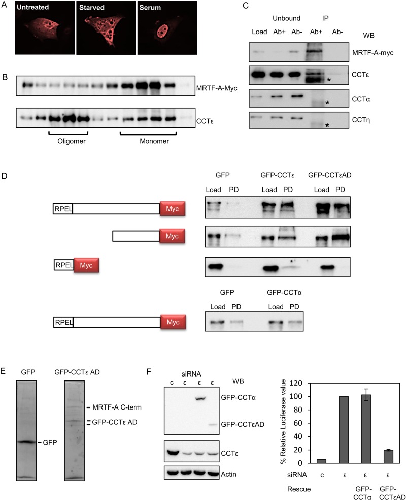 FIGURE 4: