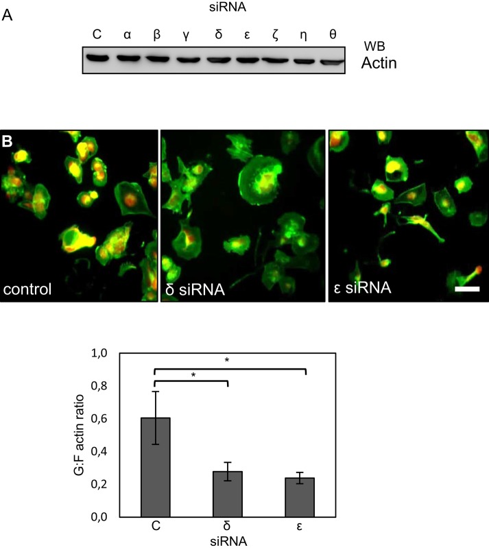 FIGURE 2: