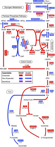 Fig. 4.