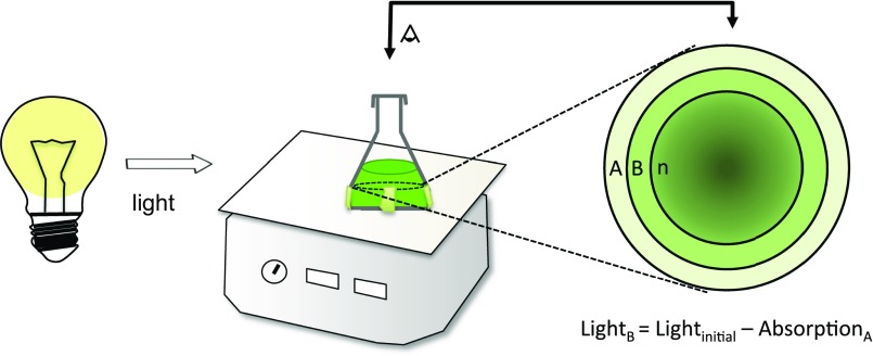 Fig. S3.