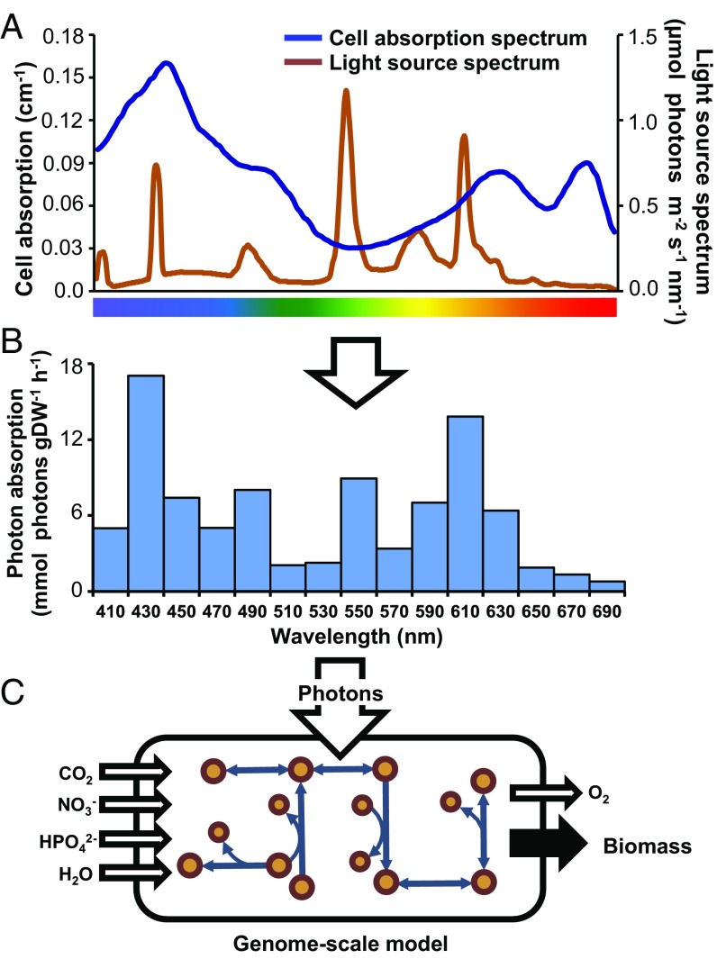 Fig. 1.