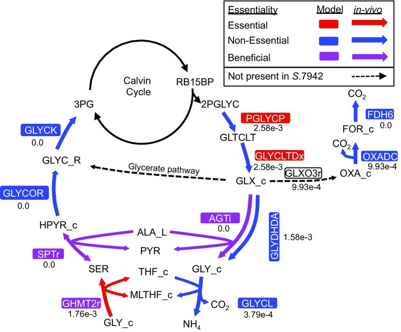 Fig. S6.