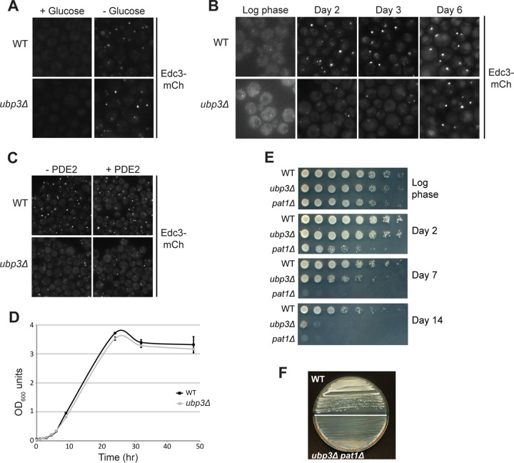 FIG 6