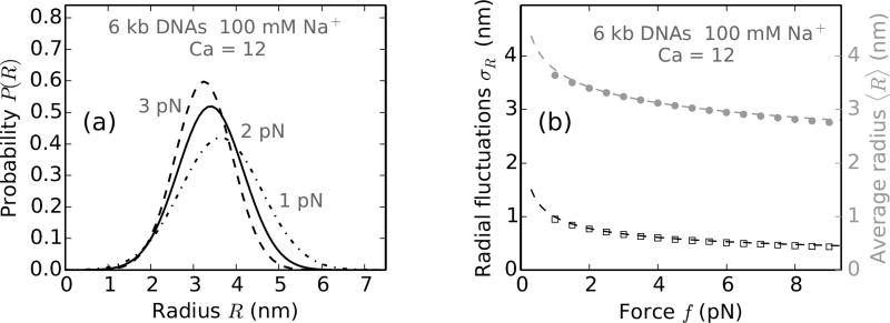 FIG. 7