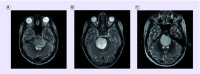 <b>Figure 1.</b>