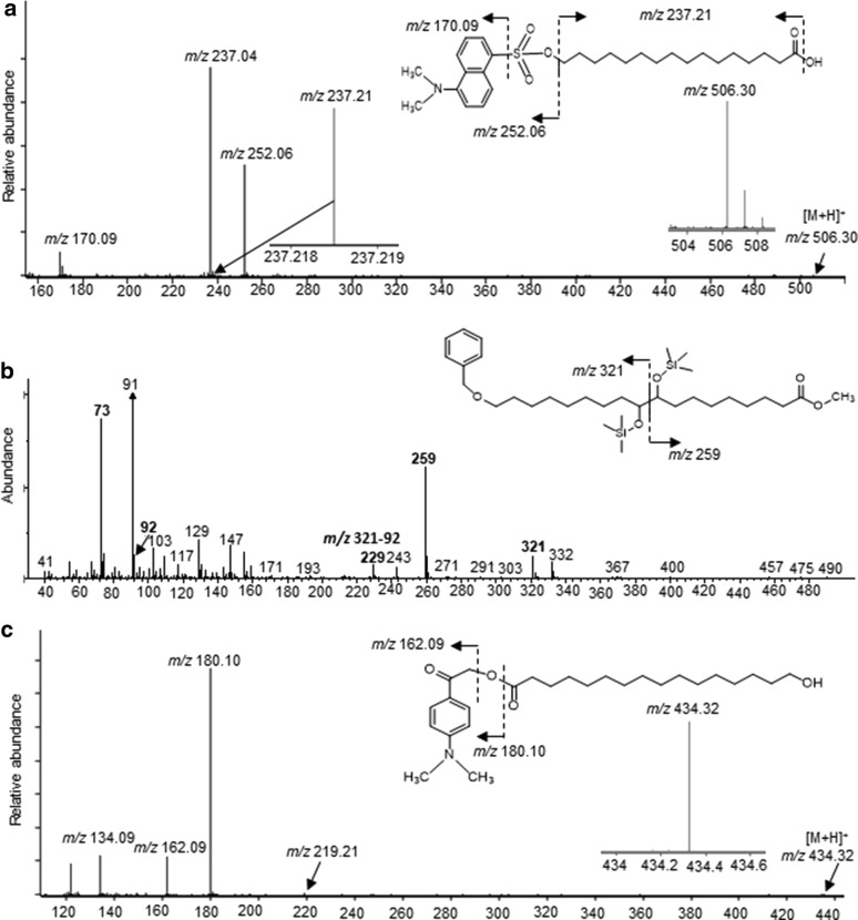 Fig. 4