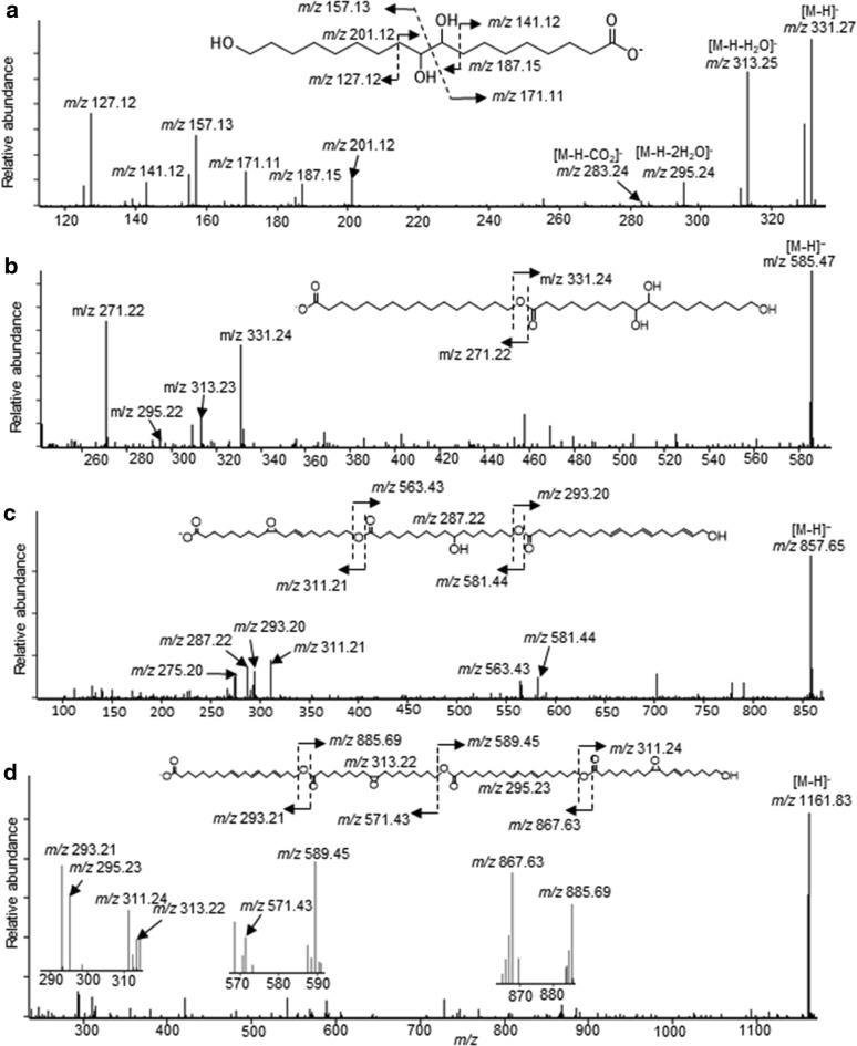 Fig. 3