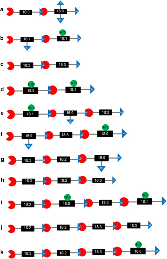 Fig. 7