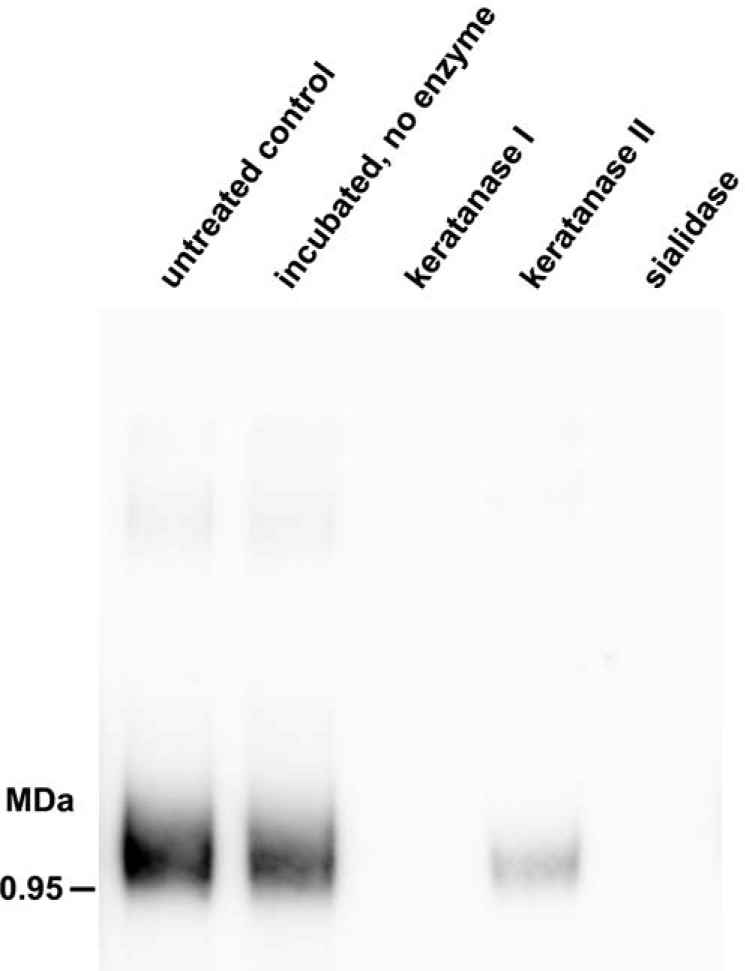 FIG 3.