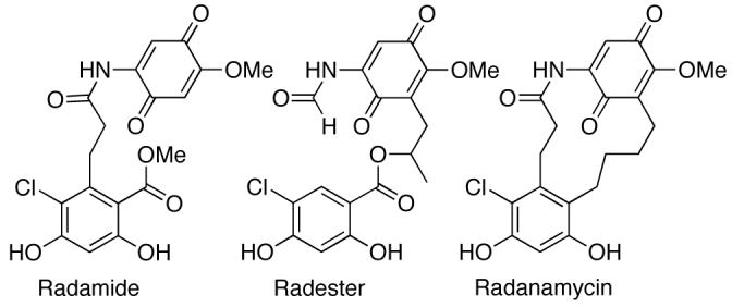 Fig. (7)