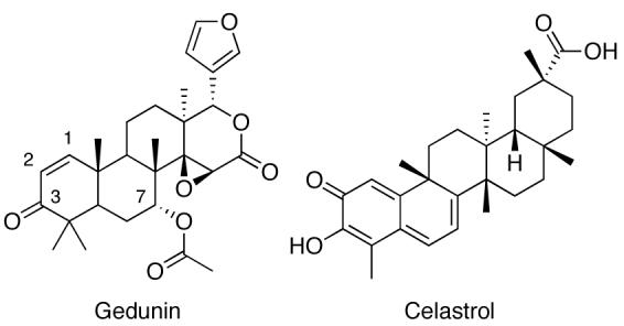 Fig. (13)