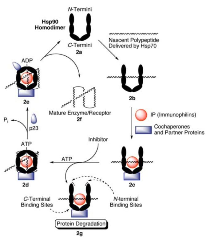 Fig. (2)