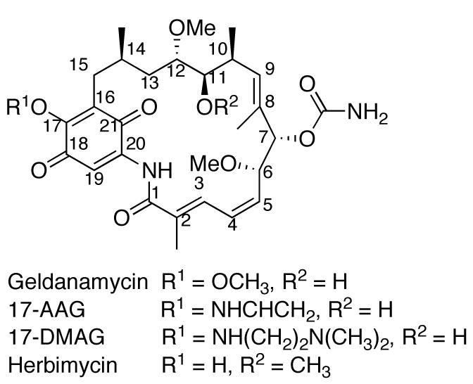 Fig. (5)