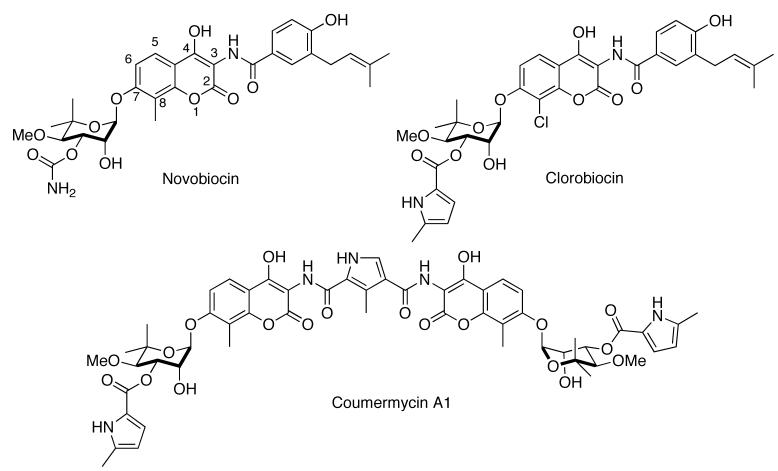 Fig. (8)