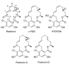 Fig. (6)
