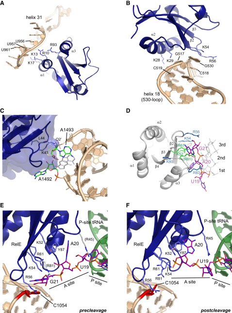 Figure 2