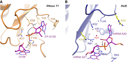 Figure 4