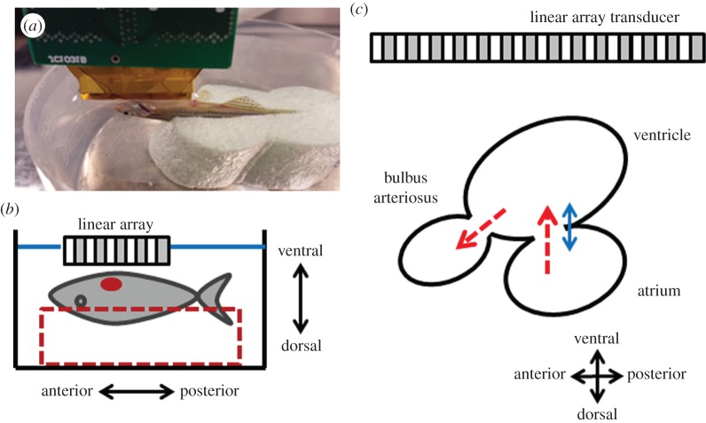 Figure 3.