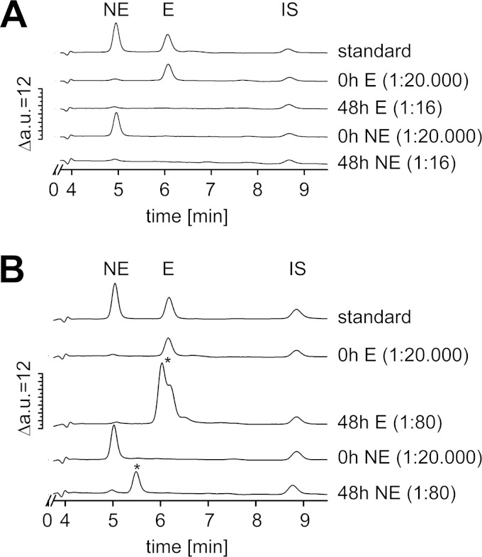 FIG 6