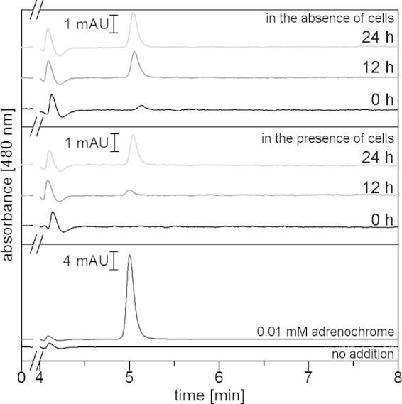 FIG 7