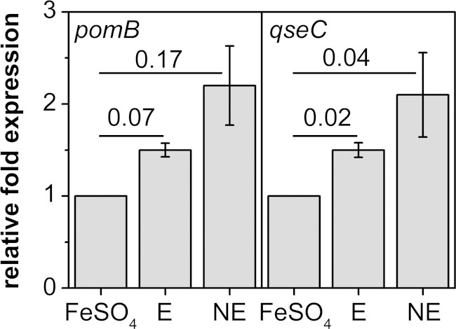 FIG 10