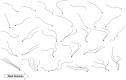 Fig 7
