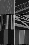 Fig 9