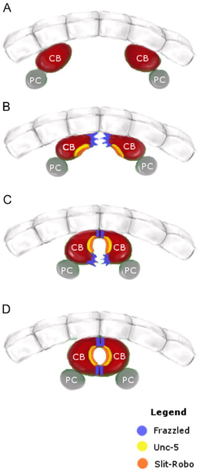 Fig. 5